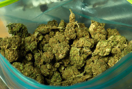 South Carolina’s Attitudes on Pot Don’t Deter Marijuana Activists